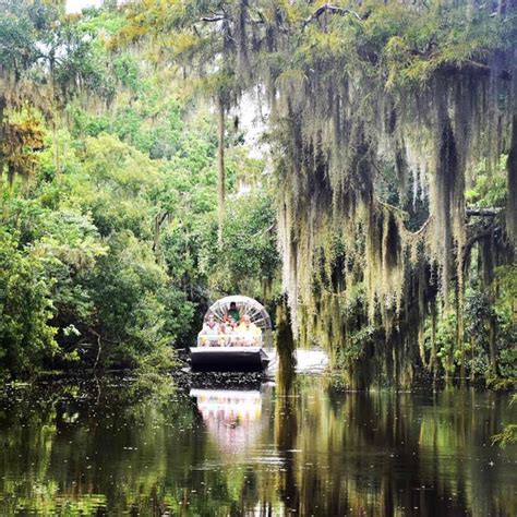 5 Amazing Swamp Tours Near New Orleans Thatll Lead You To Incredible Views