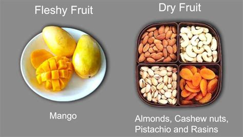 Distinguish Between Simple Fleshy Fruits And Simple Dry Fruits Give An