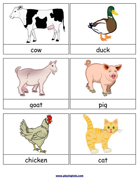 Both small and large educational cards can be printed, cut, and laminated (laminated versions look better and last longer). Variety of Animal Flashcards | Animal flashcards ...