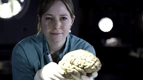 Bbc Learning Is Your Brain Male Or Female Alice Roberts On Brain Size