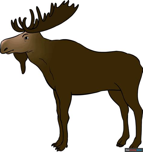 How To Draw A Moose Really Easy Drawing Tutorial