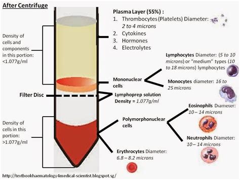 After the centrifugation step, ficoll separates layers of blood, with lymphocytes and monocytes under a layer of plasma. Haematology in a NutShell: PBMC Isolation using Lymphoprep