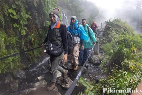 Pendakian Gunung Gede Pangrango Ditutup Hingga Maret