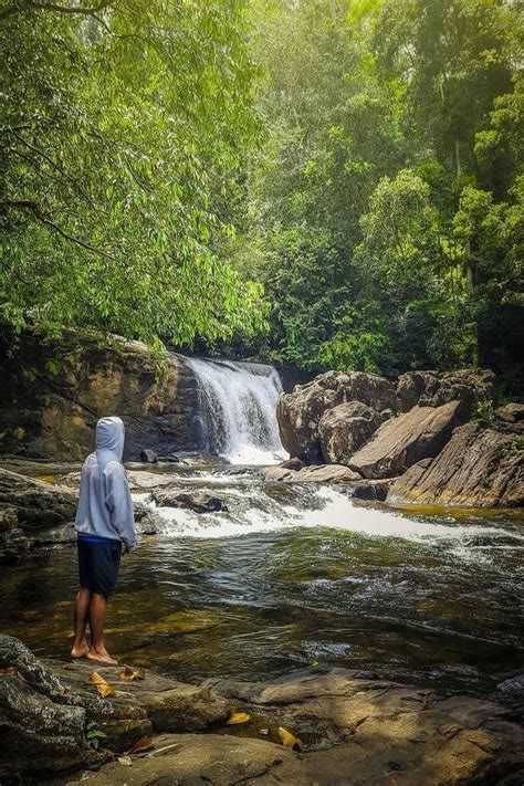 Sinharaja Rain Forest In Sri Lanka World Heritage Sites Forest