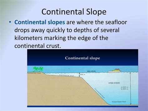 Ppt 16 The Marine Environment Powerpoint Presentation Free Download