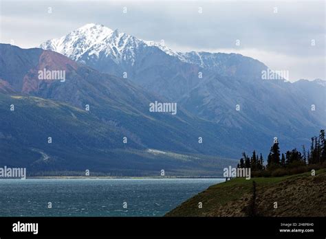 Mountains By The Shore Of Kluane Lake In The Yukon Canada They Are