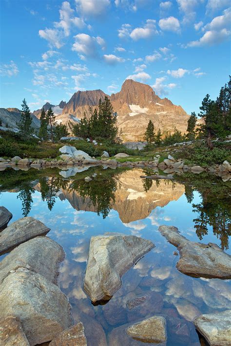 Usa California Inyo National Forest Photograph By Jaynes Gallery Pixels