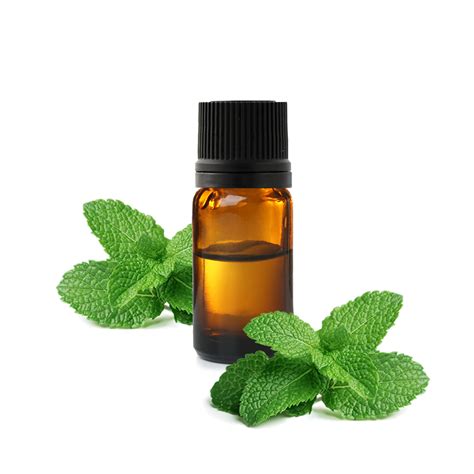 Peppermint Essential Oil How To Use It Correctly