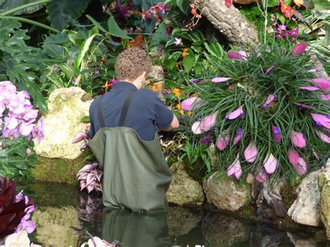 Last month, sara and i caught up in london…we ended up visiting kew gardens together and having a wander around the orchid festival within the grounds. 15 Photos Of The Fantastically Colourful Kew Gardens ...