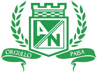 1 mes caracteristicas escudo de atlético nacional bordado en la parte superior. ATLÉTICO NACIONAL: EMBLEMAS