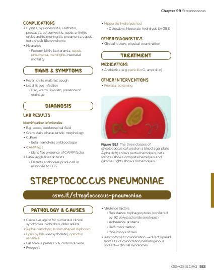 Streptococcus Viridans Video Anatomy And Definition Osmosis