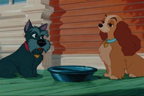Lady And The Tramp Disneys Lady And The Tramp Image 9545790 Fanpop