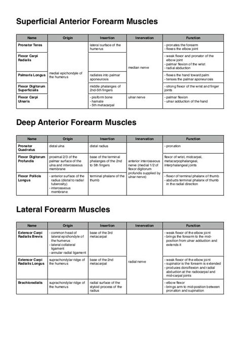 Muscles Of The Upper Limb Physical Therapy Student Basic Anatomy And