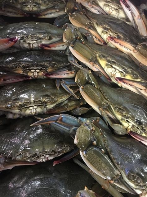 How Are Soft Shell Crabs Different From Regular Crabs Costas Inn