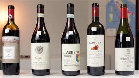 The Five Best Italian Red Wines Beginners Must Try Wine