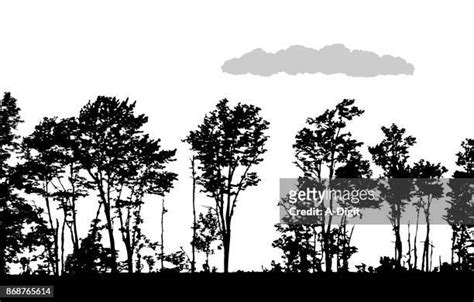 Aspen Leaf Silhouette Photos And Premium High Res Pictures Getty Images