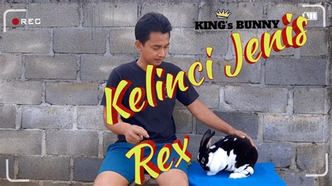 Jual wesi towo asli di lapak mbahdinonk subaricarera cara mengetes wesi kuning dan ciri ciri wesi kuning asli atau palsu 5 manfaat besi kuning yang dipercaya miliki kekuatan supranatural 11 manfaat wesi kuning manfaat co id pusaka wesi kuning ampuh kode mba 21 mustika bertuah ampuh barang antik bertuah 999 com. Ciri - ciri kelinci rex asli - YouTube