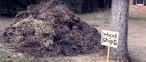 How To Get Free Wood Chips For Your Back To Eden Garden Easily Grown