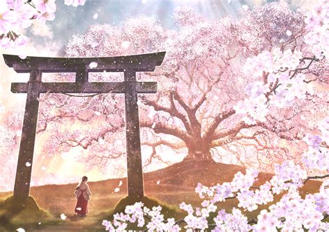 Anime Tree Background Sunset Hd Wallpaper Pink Sakura Tree Wallpaper