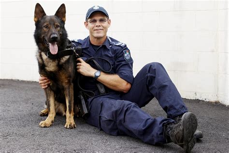 A sad farewell to retired Police Dog Hahm - Far North