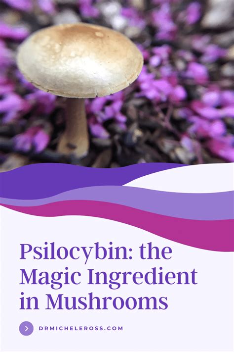 Psilocybin The Magic Ingredient In Psychedelic Mushrooms