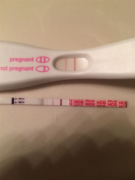 Can You Get A Positive Pregnancy Test At 9dpo Pregnancywalls