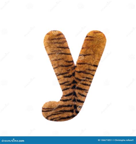 Tiger Letter Y Small D Feline Fur Font Suitable For Safari