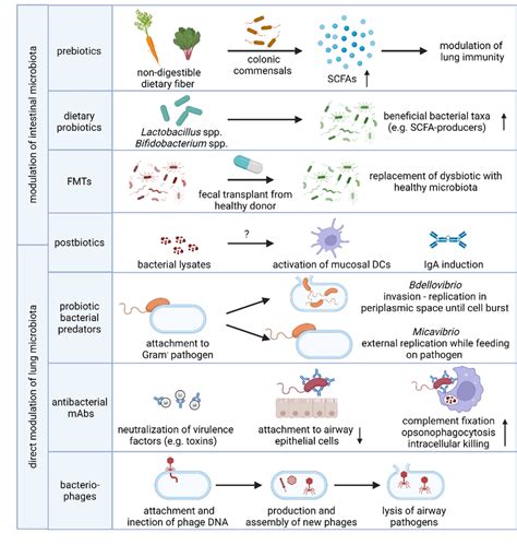 Microbiome Based Strategies To Prevent And Treat Respiratory Disease