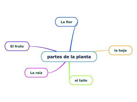 Partes De La Planta Mind Map