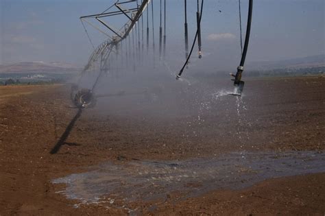 גשם לפרקים מלווה סופות רעמים וברד ירד בצפון הארץ. חצבים פורחים וציפורים אין ספור: הסתיו כבר כאן