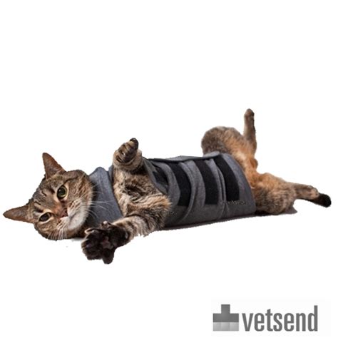 You do thundershirts for cats now, too? ThunderShirt | Calming & Relaxing Vest | Cats | Shop