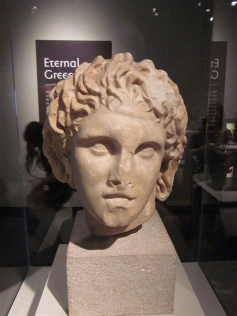 bust of alexander the great photo taken by mr krason at special exhibit in the field museum