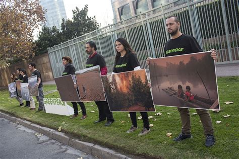 Greenpeace En Día Mundial Del Medioambiente Chile Enfrenta Situación