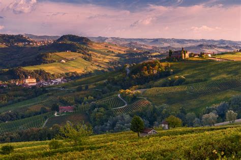Italy Piedmont Cuneo District Langhe Autumnal Color At Barolo