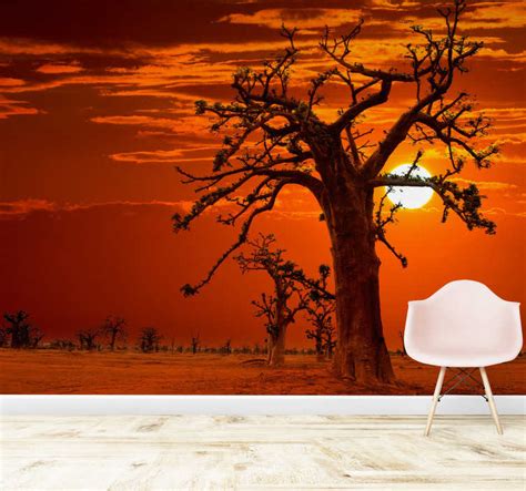 African Sunset Scenery Landscape Wall Mural Tenstickers