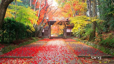 Autumn In Japan Wallpapers Hd Wallpapers Id 10405