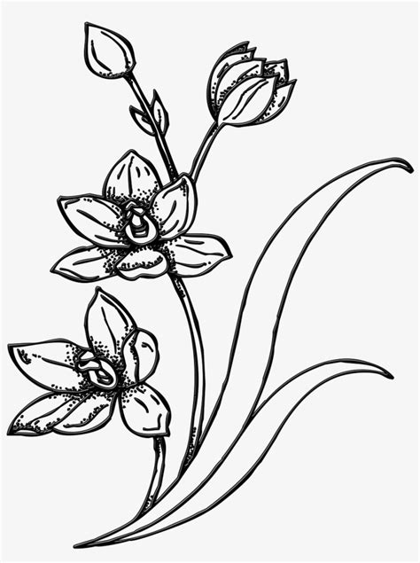 Auf wunsch noch heute einen blumenstrauß online verschicken. Drawing Spring Garden - Line Art Bunga Png - Free ...