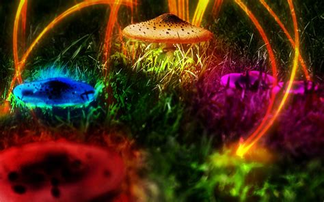 Shrooms Wallpaper 60 Pictures