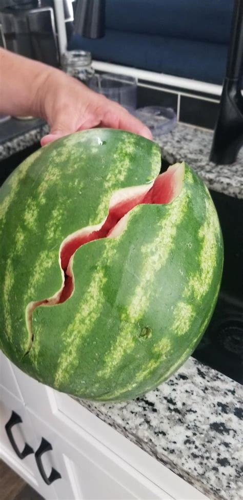 The Way This Watermelon Split Mildly Interesting Know Your Meme