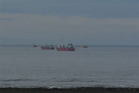 El espectáculo de los barcos en la costas de Madryn y Playa Unión