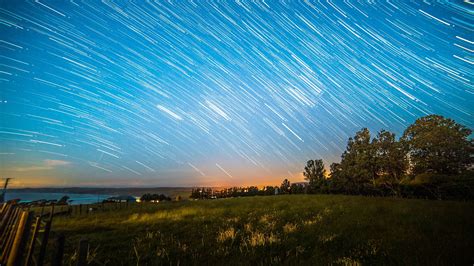 Star Trails Over The Trees At Night Startrails 4k Hd Wallpaper
