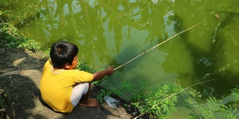 Kantor ini melayani kebutuhan terkait listrik masyarakat. 5 Tempat Mancing Paling Ikonik di Bojonegoro - Jurnaba