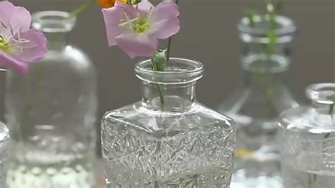 Cucumi 24 Glass Bud Vase Set Small Vases For Flowers Clear Bud Vases For Centerpieces Mini