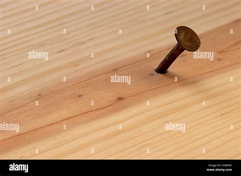 Rusty Nail In Wood Plank With Grain Texture Stock Photo Alamy