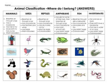 Animal Classification cut and paste: Sort mammals, fish, reptiles