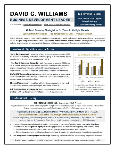 VP Business Development Resume Example | Executive Resume Writer