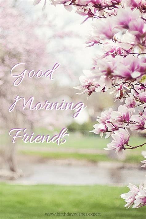 Hello friends good morning 2. 60 Good Morning Images with Pretty Flowers [Updated 2019 ...