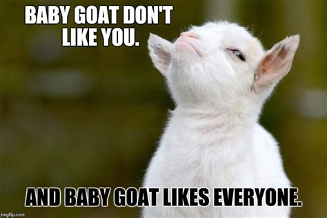 Goat Meme Baby Goat Dont Like You And Baby Picsmine