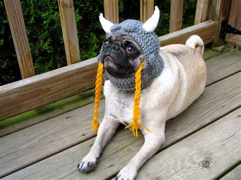 Dog Hat Viking Warrior Hatmade To Order As Seen In Moderndog