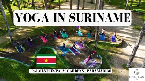 Yoga Suriname Free Flow Su In Paramaribo Suriname At Palmentuin Palm